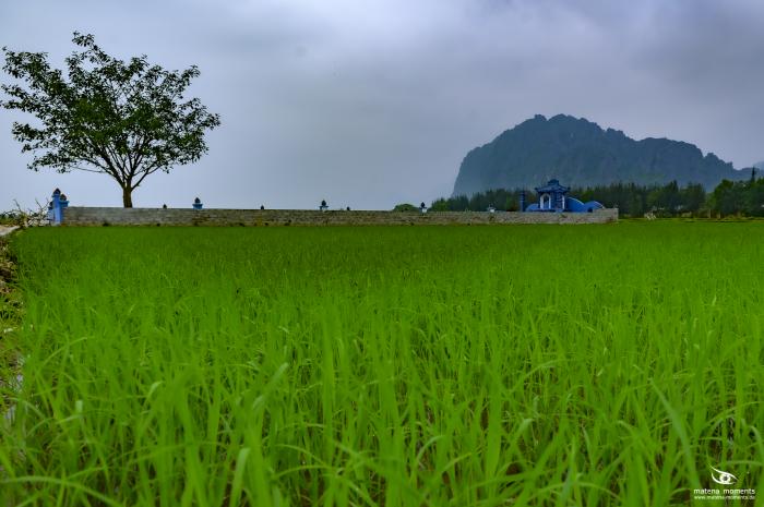 matena moments / Vietnam