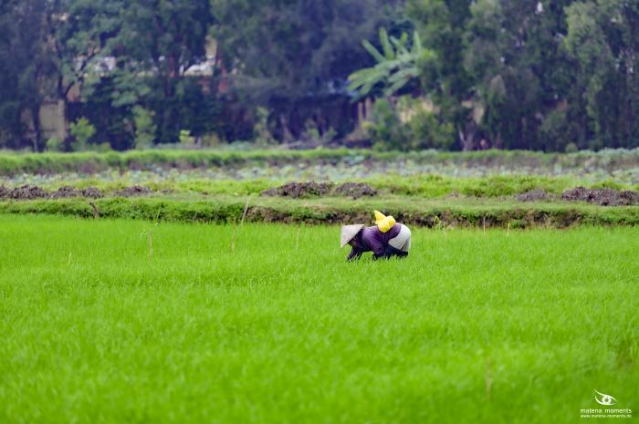 matena moments / Vietnam