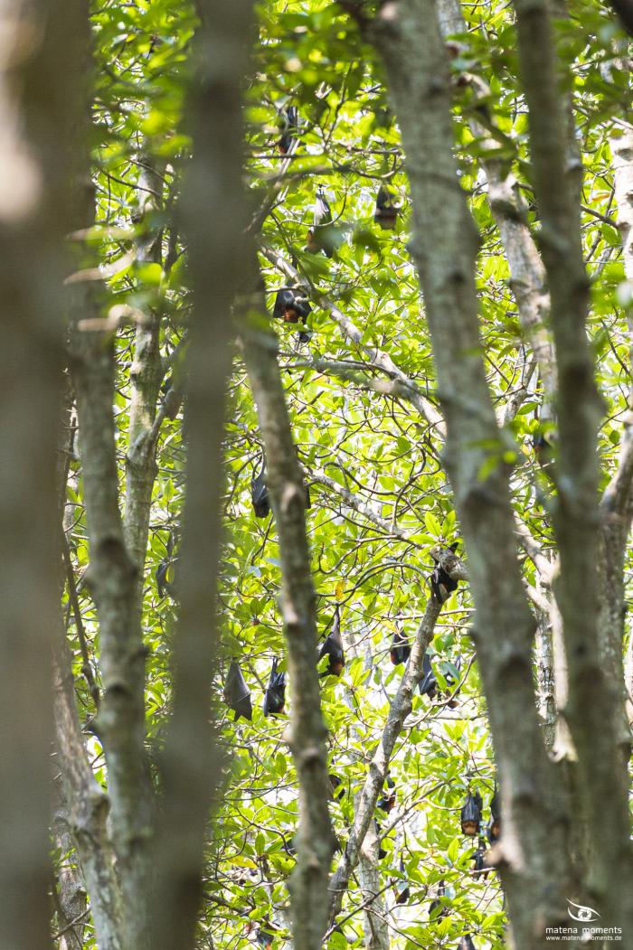 matena moments / Vietnam