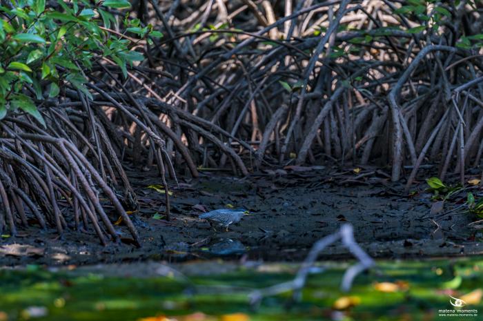 matena moments / Vietnam