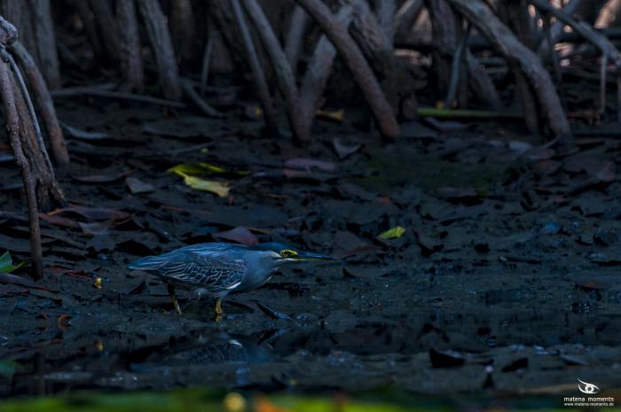 matena moments / Vietnam