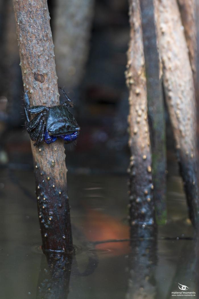 matena moments / Vietnam