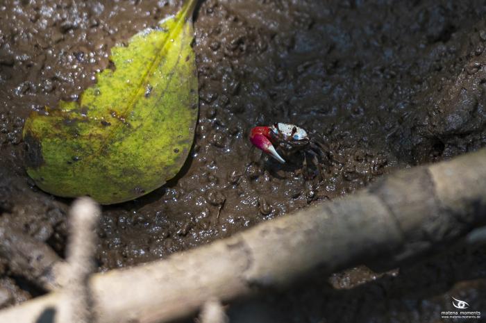 matena moments / Vietnam