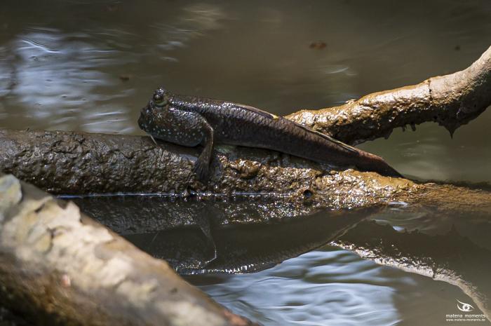 matena moments / Vietnam