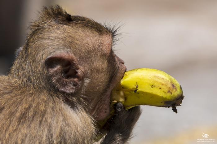 matena moments / Vietnam