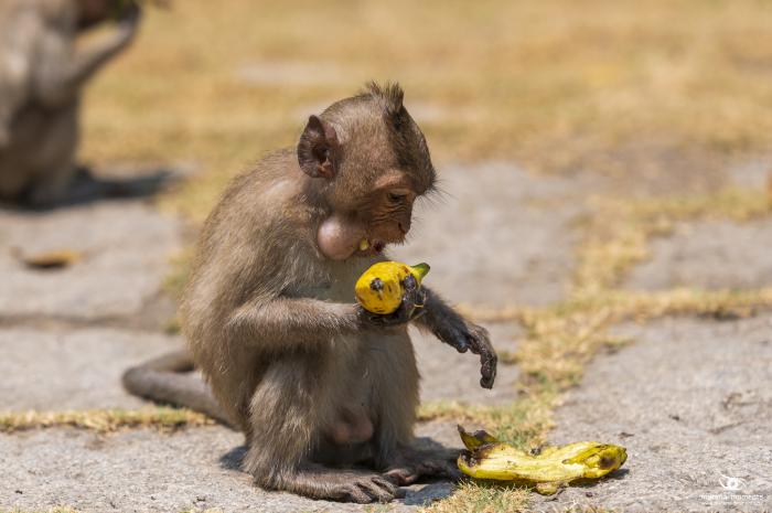 matena moments / Vietnam
