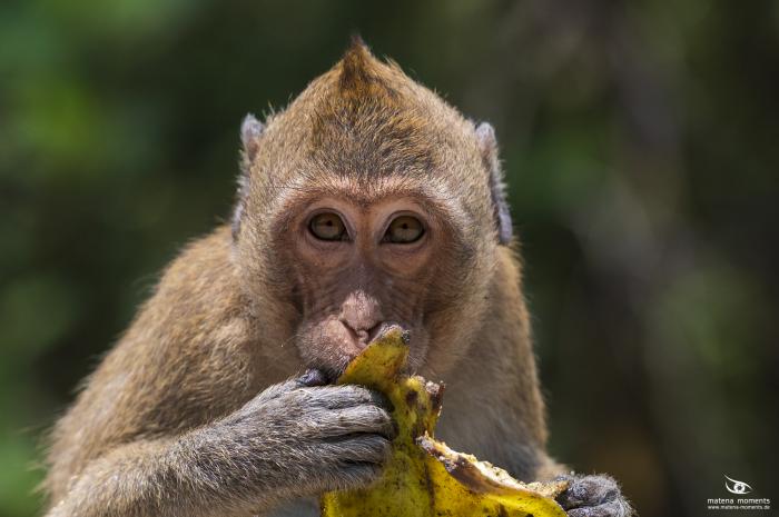 matena moments / Vietnam