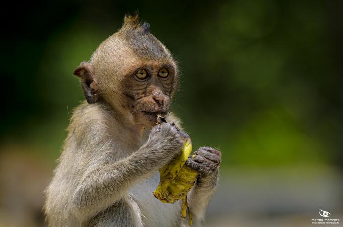 matena moments / Vietnam