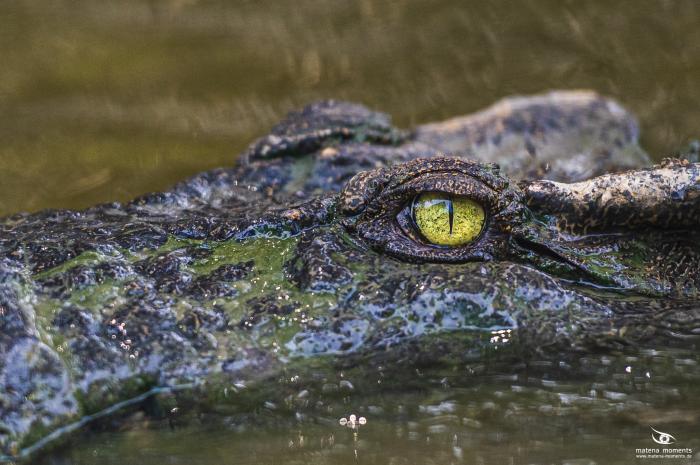 matena moments / Vietnam