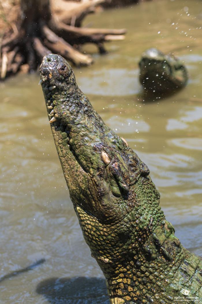 matena moments / Vietnam