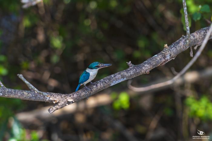 matena moments / Vietnam