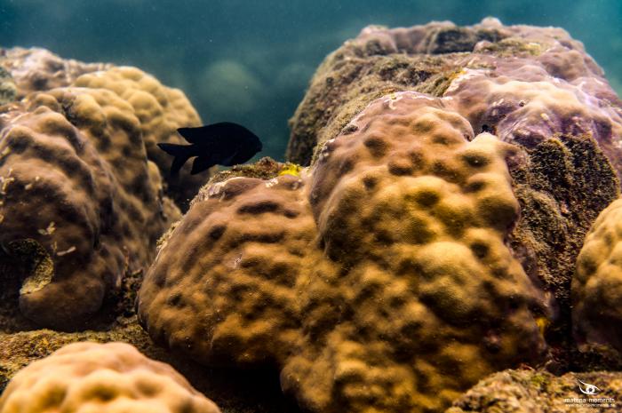 matena moments / Vietnam