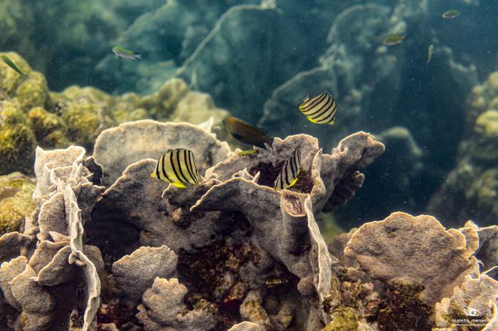 matena moments / Vietnam