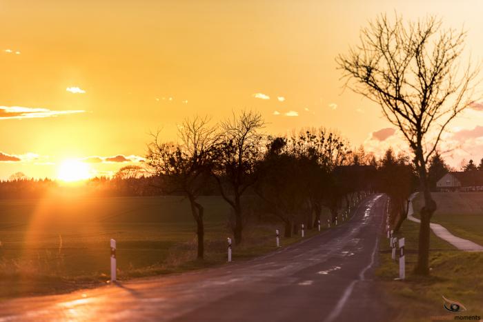 matena moments / eberswalde