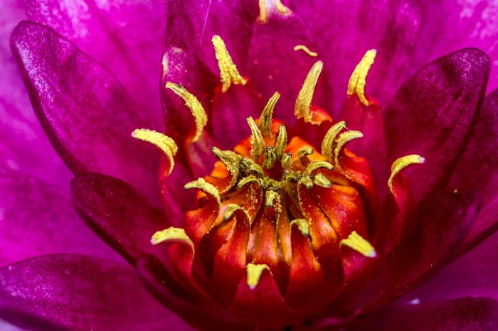 matena moments / Natur