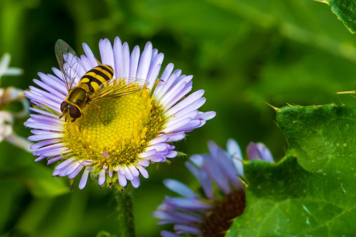 matena moments / Natur