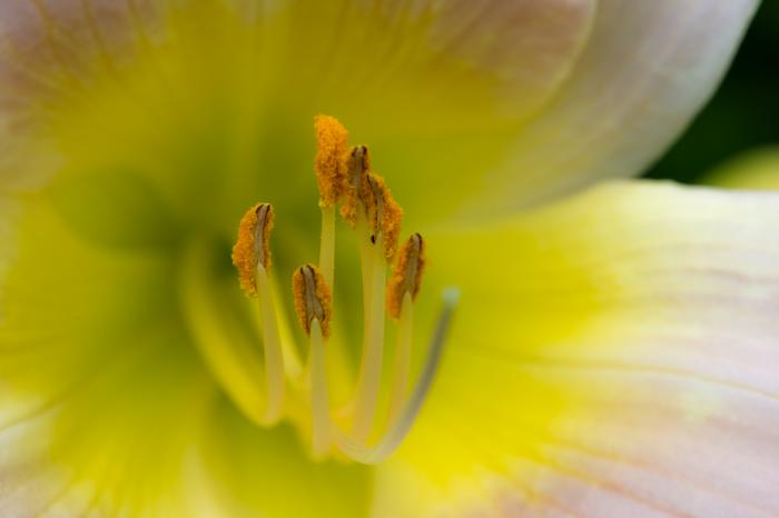 matena moments / Natur