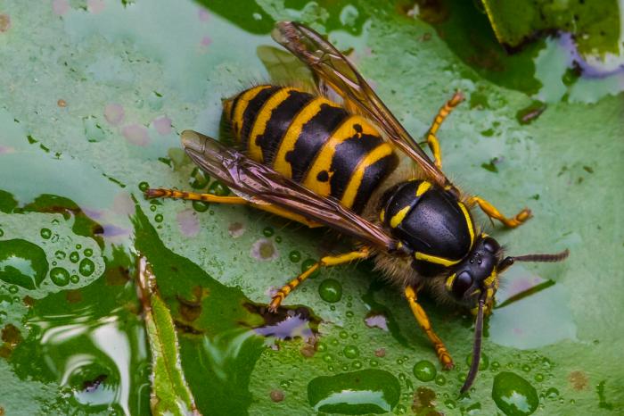 matena moments / Natur