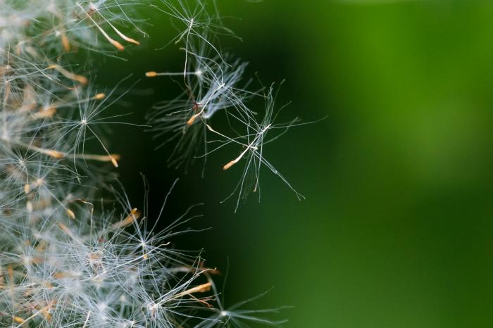 matena moments / Natur