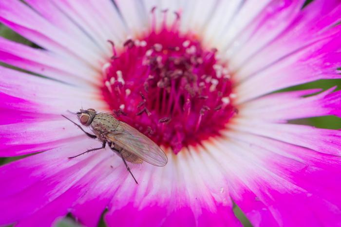 matena moments / Natur