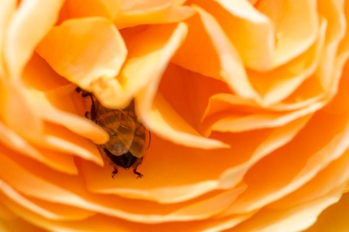 matena moments / Natur