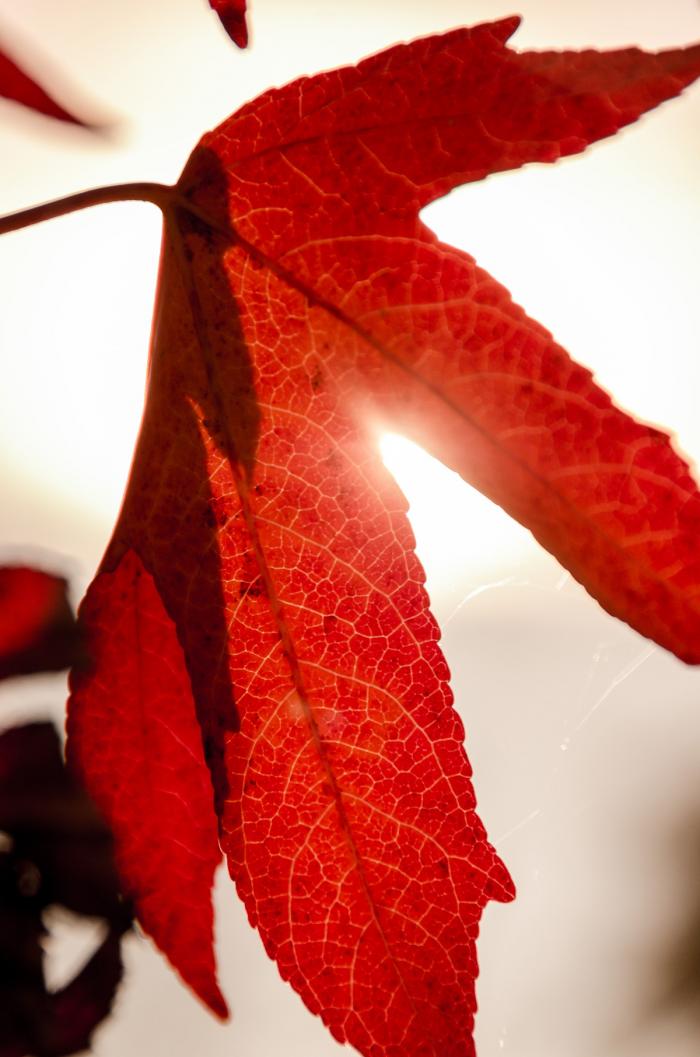 matena moments / Natur erleben