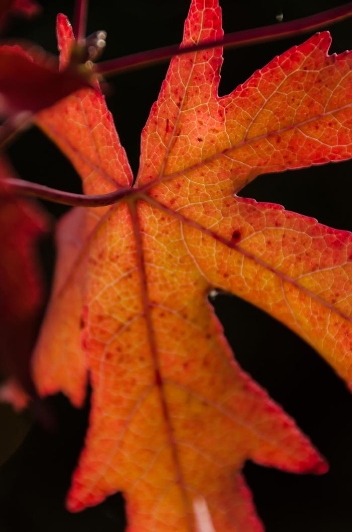 matena moments / Natur erleben