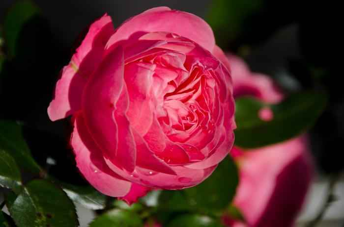 matena moments / Natur erleben