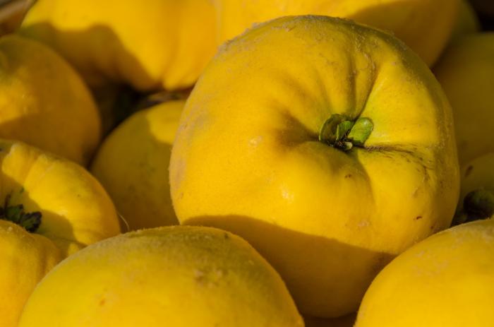 matena moments / Natur erleben